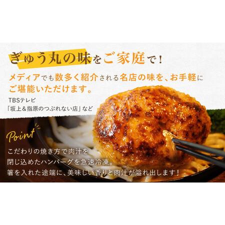 ふるさと納税 定期便 ハンバーグ ぎゅう丸ハンバーグ3種総計108個 NCQ103 全12回 佐賀県嬉野市_1