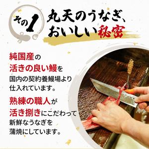 ふるさと納税 国産 120g 蒲焼 うなぎ 6尾 鰻 鰻 静岡県藤枝市_1