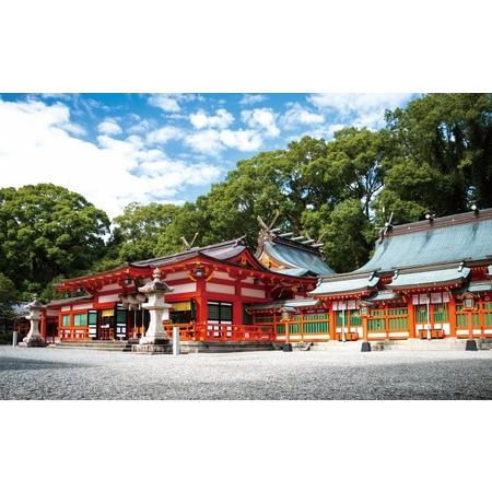 ふるさと納税 新宮市 ガイドと歩く歴史探訪ツアー　選べる新宮の魅力巡り / 熊野 世界遺産 天然記念物 自然 神社 【skk008】 和歌山県新宮市_1