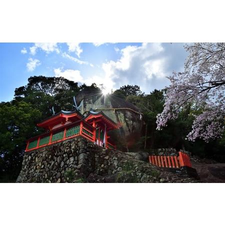 ふるさと納税 新宮市 ガイドと歩く歴史探訪ツアー　選べる新宮の魅力巡り / 熊野 世界遺産 天然記念物 自然 神社 【skk008】 和歌山県新宮市_2