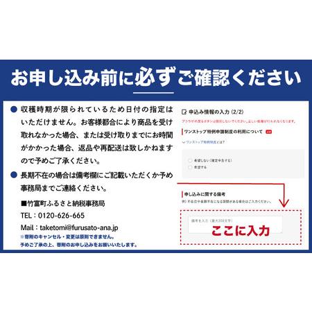 ふるさと納税 パイナップル スナックパイン 約2.5kg 2〜4玉 ふるさと納税 パイナップル スナックパイン 約2.5kg 2〜4玉