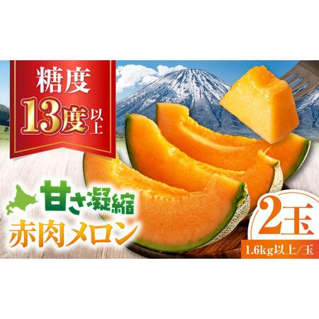 ふるさと納税 [先行予約]赤肉メロン 2玉 [喜茂別町][ニセコビュープラザ直売会協同組合]メロン フルーツ [AJAH021] 北海道喜茂別町