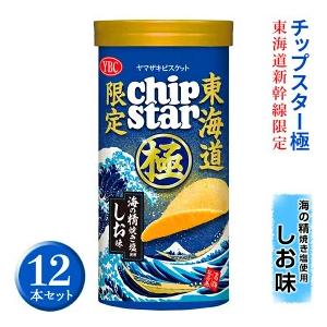 【5種/72個】チップスター アソート まとめ売り ふるさと納税 チップスター極 東海道新幹線限定 海の精焼き塩使用しお