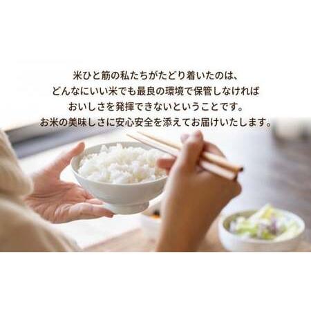 ふるさと納税 令和5年産 茨城県産 無洗米コシヒカリ　精米　合計15kg（5kg×3袋） ※着日指定不可 ※離島への配送不可 茨城県土浦市｜furunavi｜05