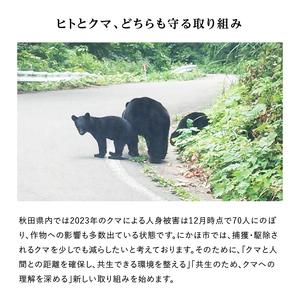 ふるさと納税 《クマといい距離プロジェクト》〈定期便11カ月〉あきたこまち 5kg(約33合分)  ×11回 計55kg(約363合)精米 白米  (動物 愛.. 秋田県にかほ市｜furunavi｜03