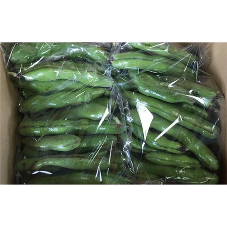 ふるさと納税 2026年3月中旬〜発送 さや付きそら豆 約5kg 〜春〜 アグリスタイル 013-1575 そらまめ ソラマメ そら豆 豆 旬 春 野菜 サラダ お.. 鹿児島県指宿市