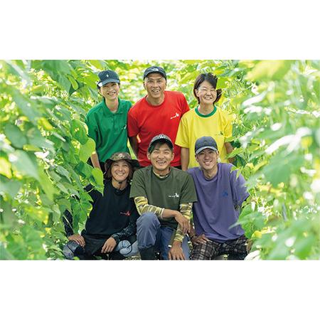 ふるさと納税 2026年3月中旬〜発送 さや付きそら豆 約5kg 〜春〜 アグリスタイル 013-1575 そらまめ ソラマメ そら豆 豆 旬 春 野菜 サラダ お.. 鹿児島県指宿市 2026年3月中旬～発送】さや付きそら豆 約5kg～春～(013-1575) | 鹿児島県指宿市 | ふるさと納税サイト「さとふる」