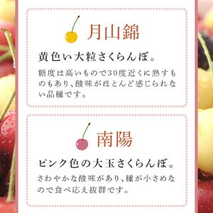 ふるさと納税 【先行受付】 さくらんぼ 南陽 & 月山錦 1kg(各500g×1パック) 北海道 芦別市 大橋さくらんぼ園 北海道芦別市｜furunavi｜02