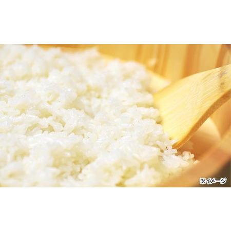 令和7年度産 新米 淡路島産「橙心(きぬひかり)」 玄米3kg ◇配送