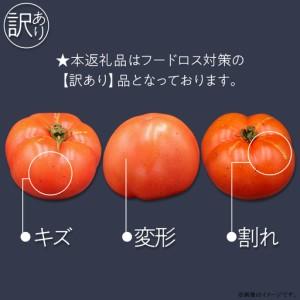 ふるさと納税 484【訳あり】茨城町産トマト 約2kg JA水戸 茨城県茨城町_1