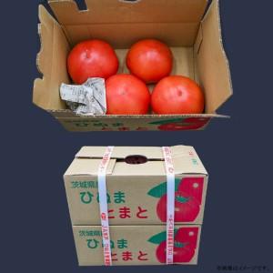 ふるさと納税 484【訳あり】茨城町産トマト 約2kg JA水戸 茨城県茨城町_2