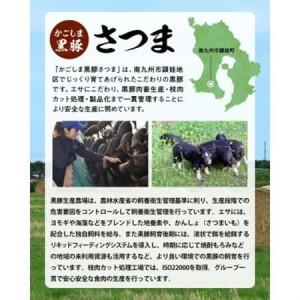 ふるさと納税 「かごしま黒豚さつま」餃子128個セット【配送不可地域：離島】【1185797】 鹿児島県南九州市