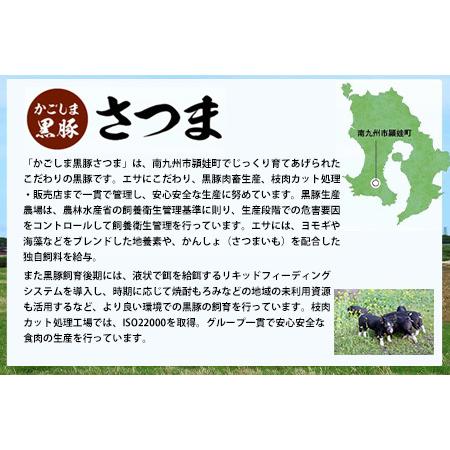 ふるさと納税 「かごしま黒豚さつま」餃子128個セット【配送不可地域：離島】【1185797】 鹿児島県南九州市