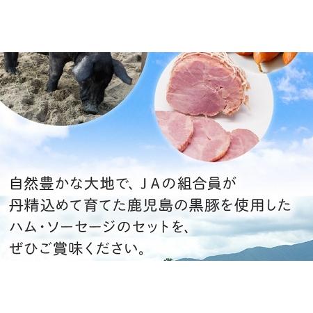 97 Off ふるさと納税 022 15 鹿児島黒豚ハム ソーセージバラエティセット 鹿児島県南九州市 Wantannas Go Id