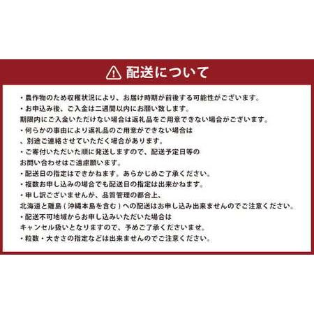 ふるさと納税 【2024年4月上旬より発送開始】【香春町限定】 福岡県産 あまおう 冷凍 約1kg (500g×2袋)  特別栽培 【 数量限定 】 いちご .. 福岡県香春町｜furunavi｜02