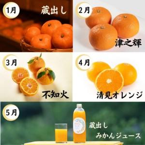 ふるさと納税 【10回定期便】みかん 旬の柑橘 ミカン 蜜柑 柑橘 柑橘定期便 かんきつ 和歌山県 海南市 和歌山県海南市_1