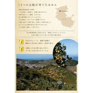 ふるさと納税 【10回定期便】みかん 旬の柑橘 ミカン 蜜柑 柑橘 柑橘定期便 かんきつ 和歌山県 海南市 和歌山県海南市_3