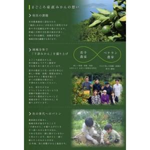 ふるさと納税 【10回定期便】みかん 旬の柑橘 ミカン 蜜柑 柑橘 柑橘定期便 かんきつ 和歌山県 海南市 和歌山県海南市_4