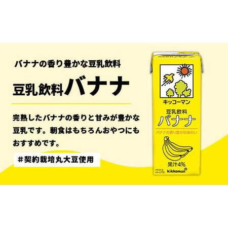 ふるさと納税 豆乳 豆乳飲料 バナナ 1000ml×18本 【定期便3回】 キッコーマン 【価格改定XA】 茨城県五霞町の画像