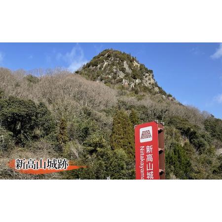 ふるさと納税 「新高山城 御城印」 と 「小早川隆景 関連品」 と 「宿泊券」 セット 御城印 和柄 雑貨 旅行 広島県三原市 広島県三原市｜furunavi｜02