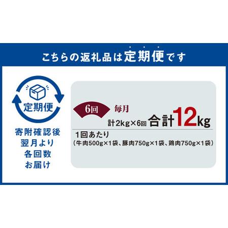 ふるさと納税 【6ヶ月定期便】 国産 牛豚鶏 タレ漬け 合計2kg ×6回 熊本県水俣市の画像