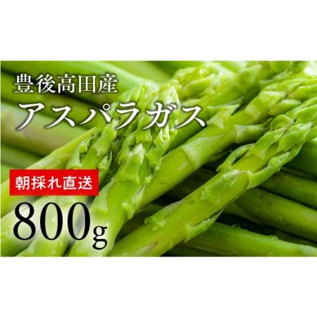 ふるさと納税 グリーンアスパラガス(800g)[5月中旬~6月配送] アスパラ 大分県豊後高田市