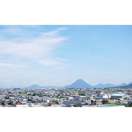 ふるさと納税 琴平パークホテル宿泊券 3名様 1泊朝食付き 宿泊券 旅行券 ビジネス ホテル 大浴場 展望浴場 旅行 温泉旅行 家族旅行 トリプル 旅.. 香川県琴平町_4