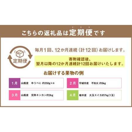 ふるさと納税 【12ヶ月定期便】熊本県フルーツ 12ヶ月定期便 ｜ フルーツ 果物 くだもの 苺 みかん 金柑 すいか メロン 梨 柿 旬 熊本県産 熊本県_1