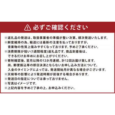 ふるさと納税 【12ヶ月定期便】熊本県フルーツ 12ヶ月定期便 ｜ フルーツ 果物 くだもの 苺 みかん 金柑 すいか メロン 梨 柿 旬 熊本県産 熊本県_3