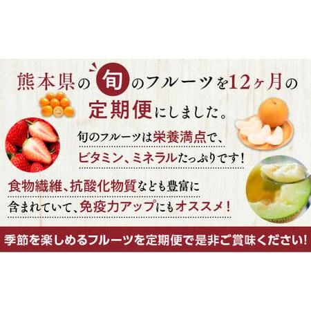 ふるさと納税 【12ヶ月定期便】熊本県フルーツ 12ヶ月定期便 ｜ フルーツ 果物 くだもの 苺 みかん 金柑 すいか メロン 梨 柿 旬 熊本県産 熊本県_4