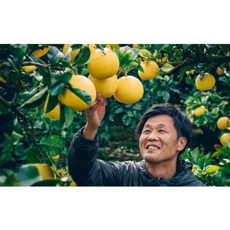 ふるさと納税 松岡農園 土佐文旦 10kg 家庭用 文旦 高知県宿毛市