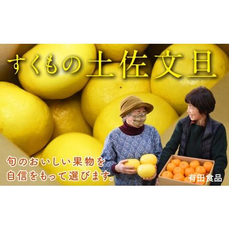 ふるさと納税 有田食品 土佐文旦 10kg 文旦 高知県宿毛市