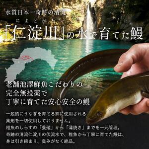 ふるさと納税 完全無投薬 仁淀川の伏流水で育てた贅沢うなぎ蒲焼き 中（約150ｇ×1尾 ）ギフトセット 池澤鮮魚 高知県高知市｜furunavi｜02