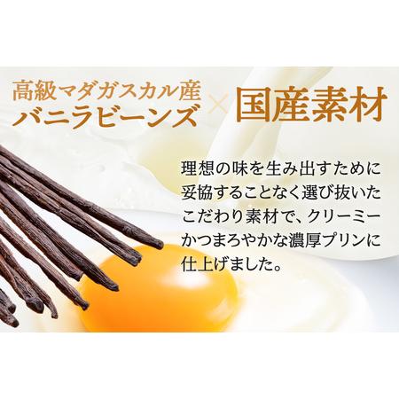 ふるさと納税 安藤醸造×あきたプリン亭 角館コラボプリンセット D しょうゆ＆武家屋敷 各6個 計12個入り 秋田県仙北市の画像
