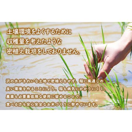 ふるさと納税 《定期便3ヶ月》【玄米】あきたこまち 5kg 秋田県産 令和5年産  こまちライン 秋田県三種町｜furunavi｜04