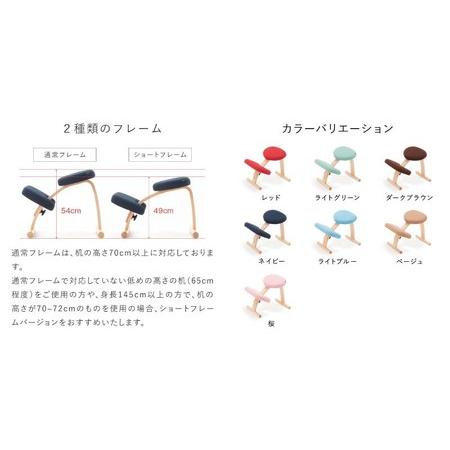 バランスイージー 椅子 カバー付き イージーライティングボード M 