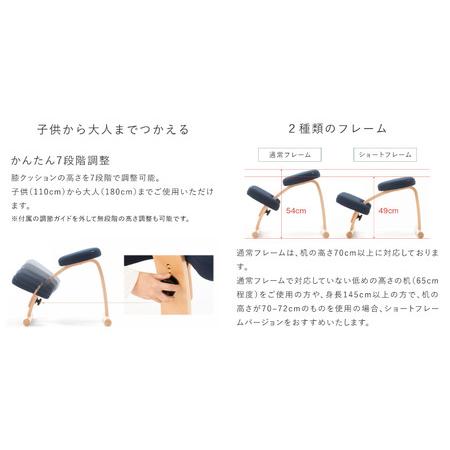 健康用品 【送料無料】バランスラボ バランスイージー ネイビー 専用