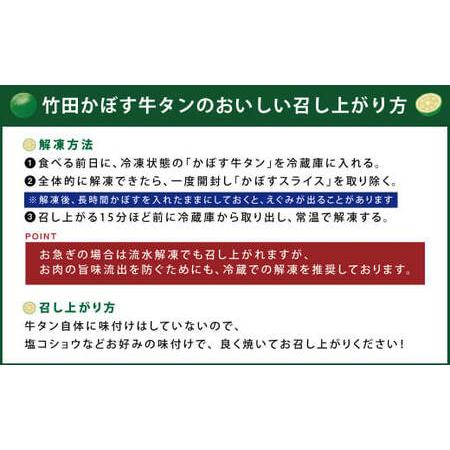 ふるさと納税 【13営業日以内発送】もつ鍋(あっさり塩とんこつ) 4〜5人前 ＆ 竹田かぼす 厚切り 牛タン 250g×2、王道 厚切り 牛タン 250g.. 大分県竹田市の画像