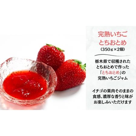 ふるさと納税 ジャム 四季のジャム 完熟いちごとちおとめ 2個 ふるさと納税 ジャム 四季のジャム 完熟いちごとちおとめ 2個