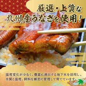 ふるさと納税 【6回定期便】九州産うなぎ蒲焼2尾 秘伝つゆだくタレ付 