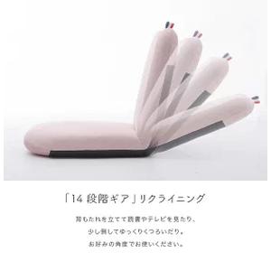 ふるさと納税 【ふるなび限定】APPLE座椅子 ピンク FN-Limited-SP｜折りたたみ おしゃれ コンパクト 北欧風 日本製 リクライニング 子供 勉強 .. 神奈川県厚木市の画像