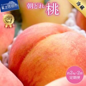 ふるさと納税 朝どれ桃 2kg×2回定期便 (白鳳系・白桃系) [2026年発送]定期便 山梨県富士吉田市