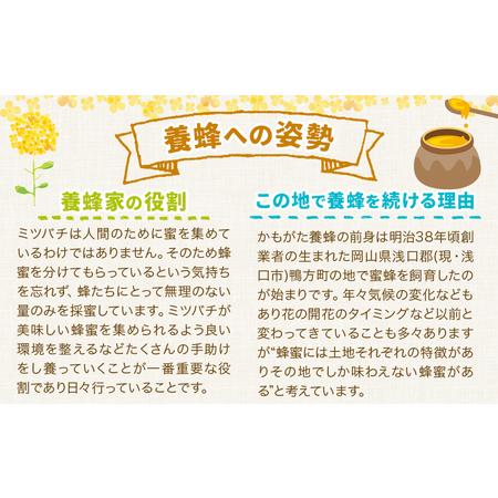 ふるさと納税 はちみつ 蜂蜜 百花 1.2kg 2本 かもがた養蜂 《30日以内に出荷予定(土日祝除く)》 岡山県 浅口市 送料無料 ハチミツ 百花蜜 百花は.. 岡山県浅口市の画像