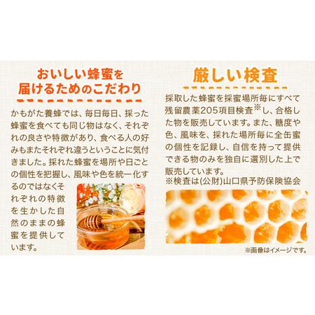ふるさと納税 はちみつ 蜂蜜 百花 600g 1本 1.2kg 1本 計 2本 かもがた養蜂 《30日以内に出荷予定(土日祝除く)》 岡山県 浅口市 送料無料 ハチミ.. 岡山県浅口市の画像