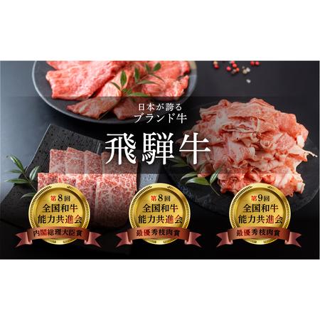 ふるさと納税 【定期便6回】 飛騨牛 ＆ なっとく豚 ブランド肉 定期便 6回 牛肉 豚肉 (ステーキ / すき焼き / しゃぶしゃぶ / 焼き肉) カルビ イ.. 岐阜県下呂市｜furunavi｜04