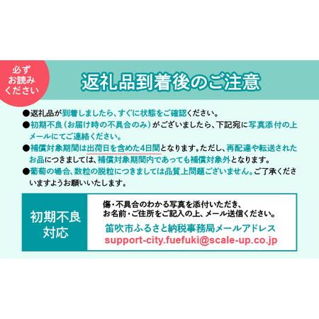 ふるさと納税 ＜2024年先行予約＞【2024年8月下旬発送予定】山梨県　笛吹産　シャインマスカット　1kg（2〜3房）秀品 215-007 山梨県笛吹市｜furunavi｜03