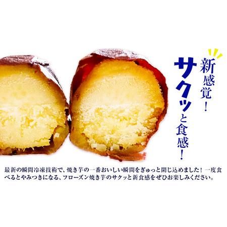 ふるさと納税 フローズン焼き芋 約200g×8袋セット 合計約1.6kg 有限会社七城町特産品センター《90日以内に出荷予定(土日祝除く)》熊本県 菊.. 熊本県菊池市の画像