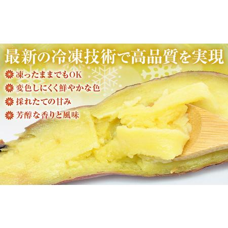 ふるさと納税 フローズン焼き芋 約200g×8袋セット 合計約1.6kg 有限会社七城町特産品センター《90日以内に出荷予定(土日祝除く)》熊本県 菊.. 熊本県菊池市の画像