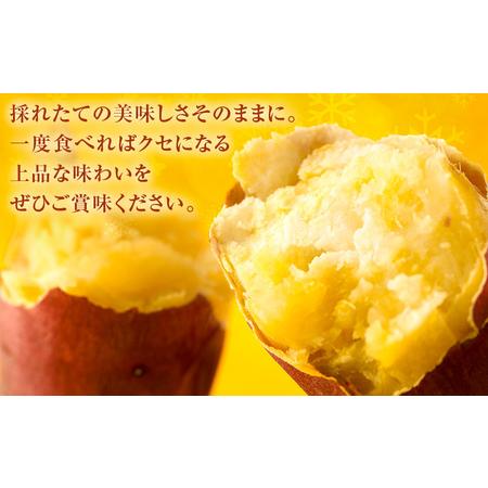 ふるさと納税 フローズン焼き芋 約200g×8袋セット 合計約1.6kg 有限会社七城町特産品センター《90日以内に出荷予定(土日祝除く)》熊本県 菊.. 熊本県菊池市の画像