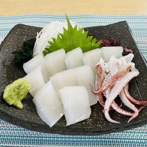 新島で釣ったアオリイカとケンサキイカを頬張る 刺身・寿司・天ぷらの釣り飯編